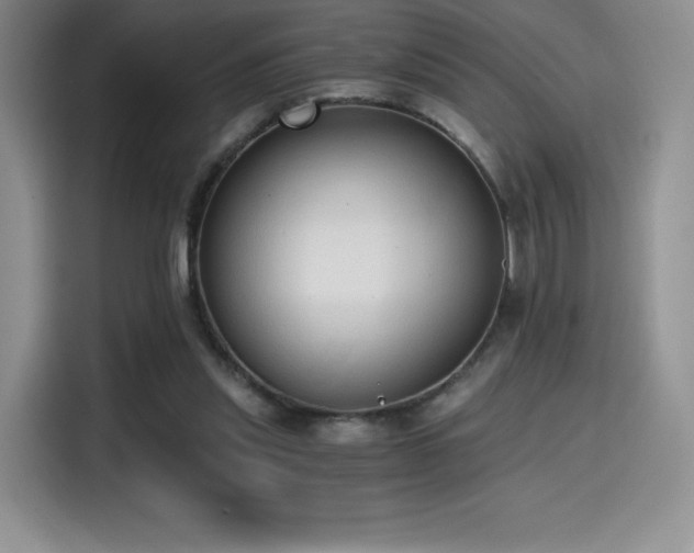 X0000114590253200910191603