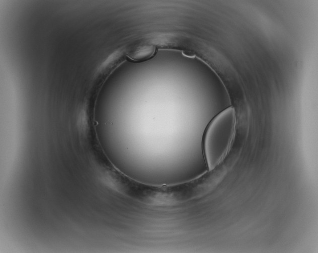 X0000114590256200910191603