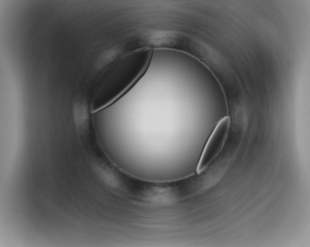 X0000114590260200910191603