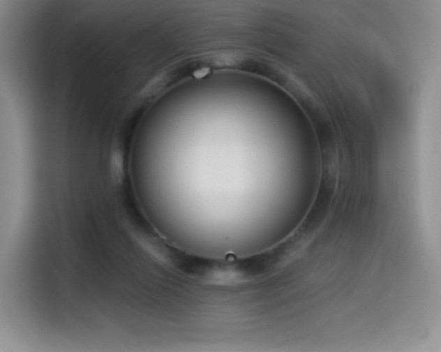 X0000114590262200910191603