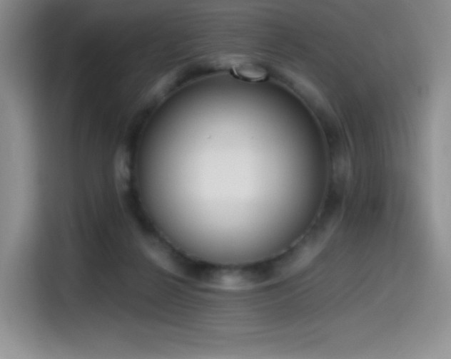 X0000114590264200910191603
