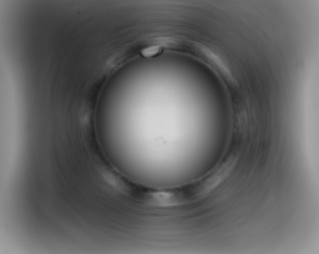 X0000114590265200910191603