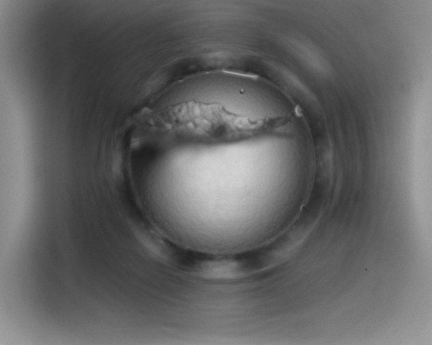 X0000114590266200910191603