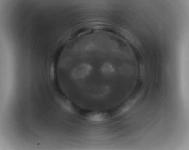 X0000114590267200910191603