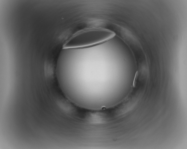 X0000114590268200910191603