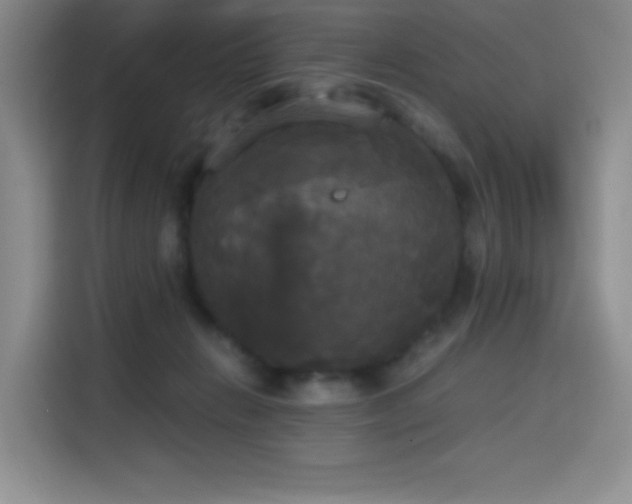 X0000114590270200910191603