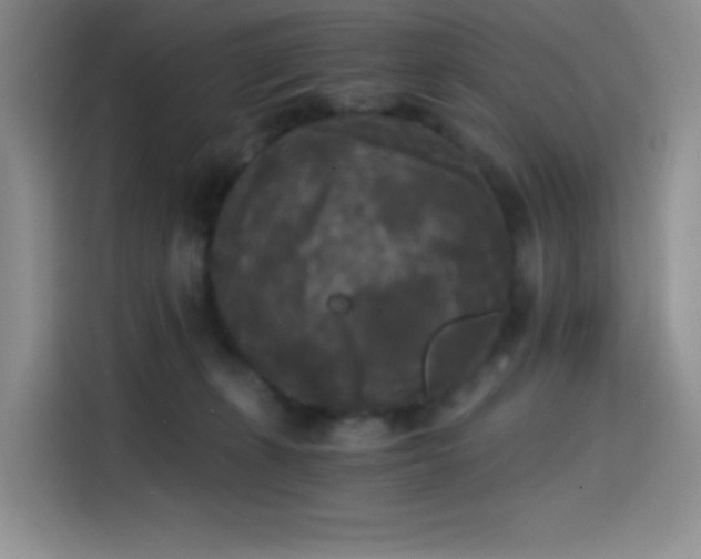 X0000114590271200910191603