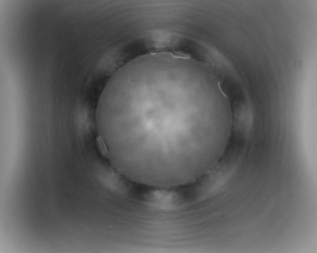 X0000114590272200910191603