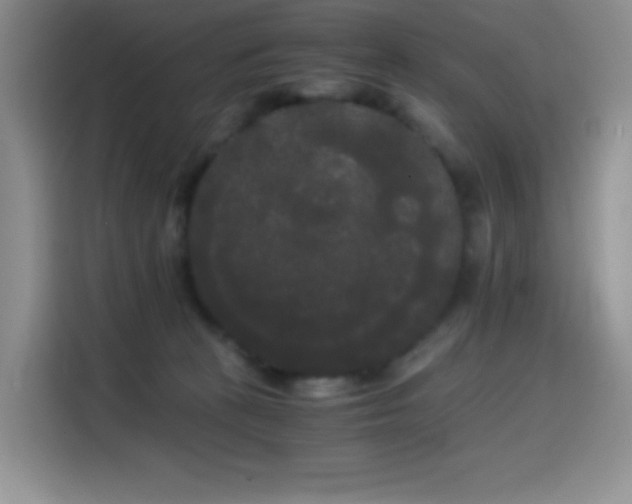 X0000114590273200910191603