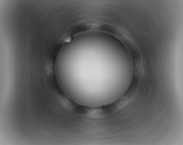 X0000114590274200910191603