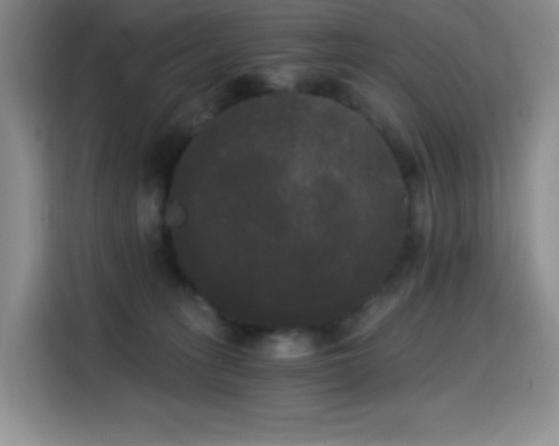 X0000114590275200910191603