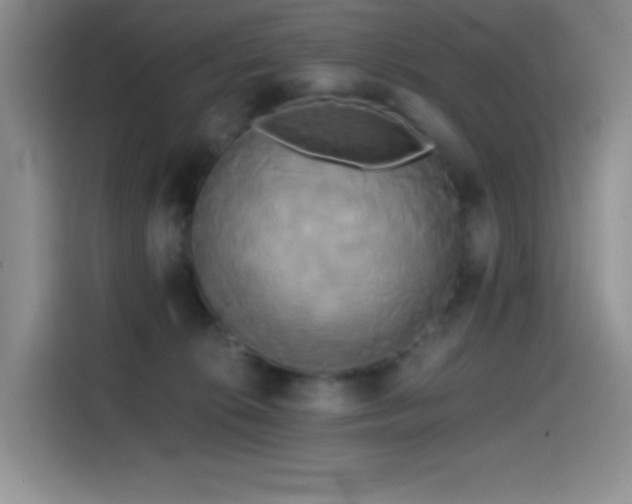 X0000114590276200910191603