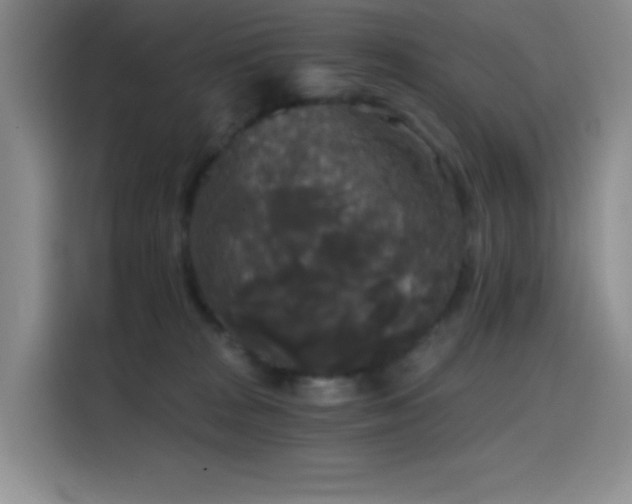 X0000114590277200910191603
