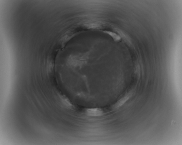 X0000114590281200910191603