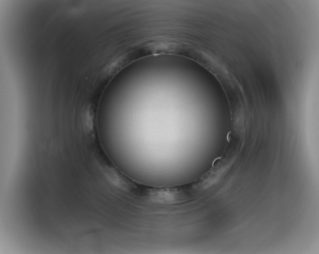 X0000114590282200910191603