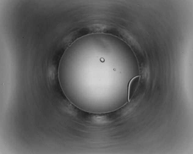 X0000114590283200910191603