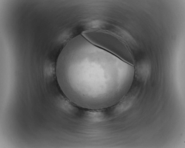 X0000114590284200910191603