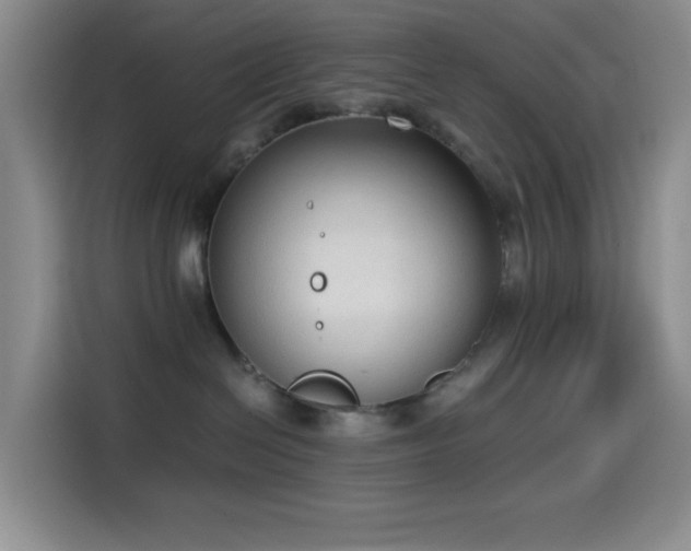 X0000114590286200910191603