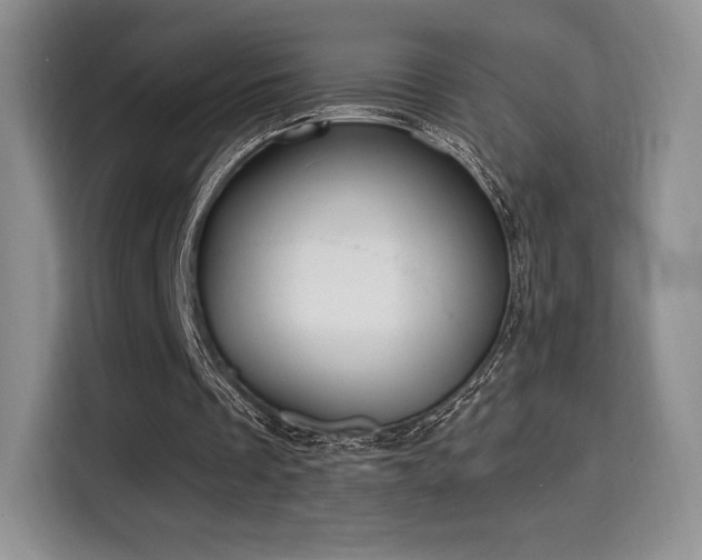 X0000114590289200910191603