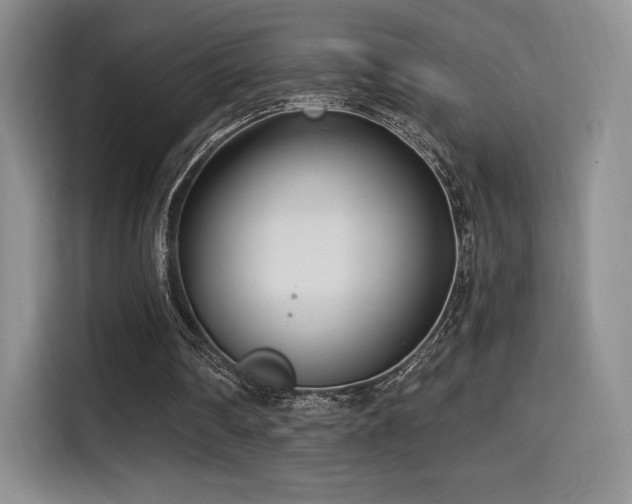 X0000114590290200910191603