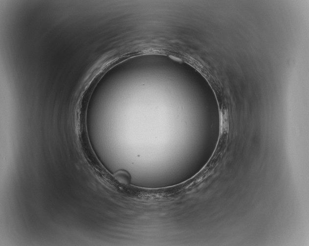 X0000114590291200910191603