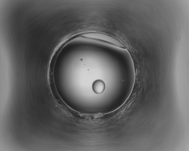 X0000114590292200910191603