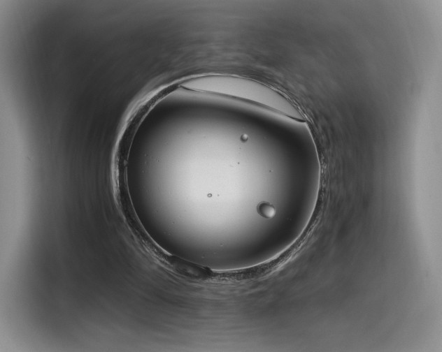 X0000114590294200910191603