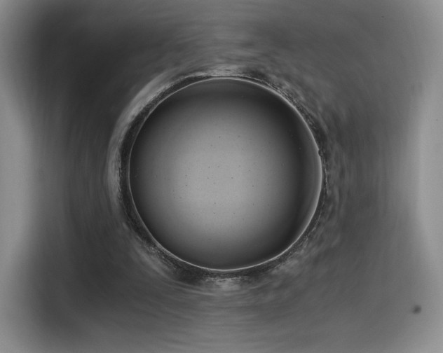 X0000114590295200910191603