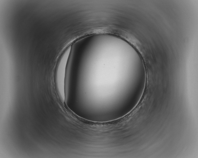 X0000114590297200910191603