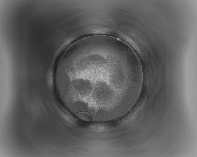 X0000114590299200910191603