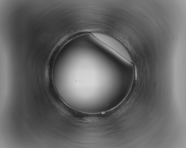 X0000114590300200910191603