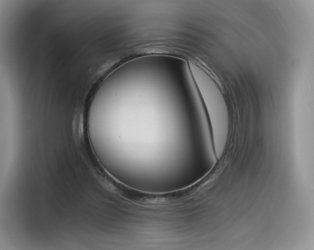 X0000114590301200910191603