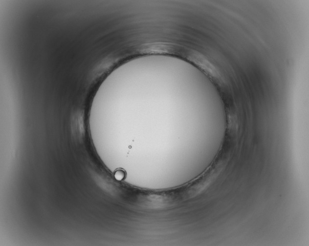 X0000114590302200910191603