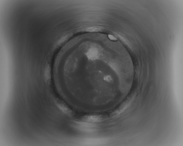 X0000114590303200910191603