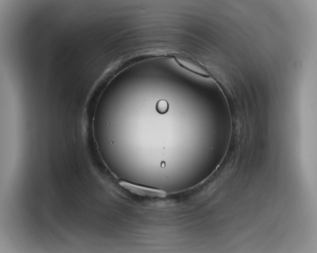 X0000114590304200910191603