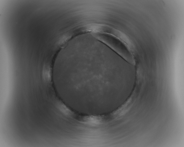 X0000114590305200910191603