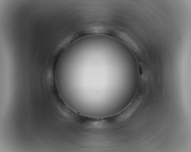 X0000114590306200910191602