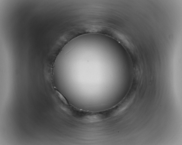 X0000114590307200910191602