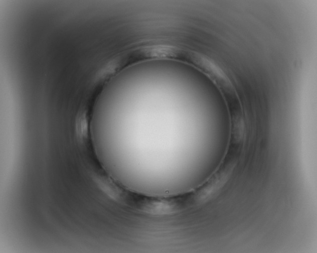 X0000114590310200910191602