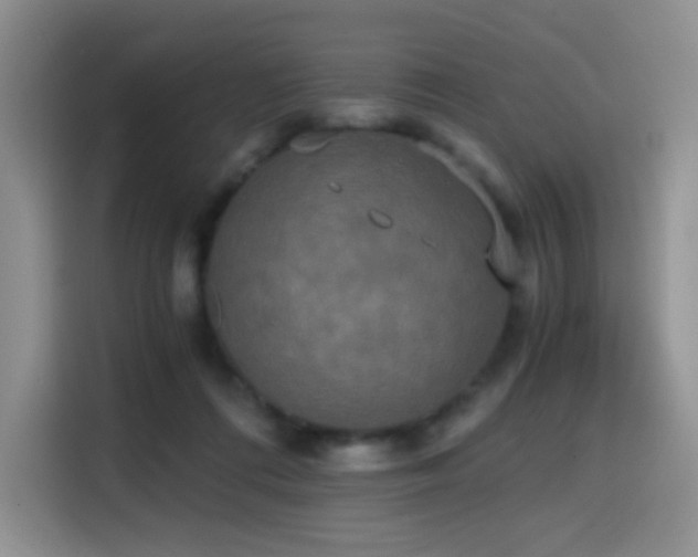 X0000114590312200910191602