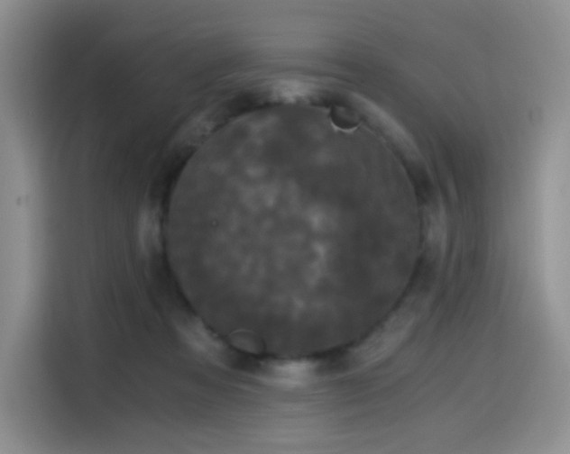 X0000114590313200910191602
