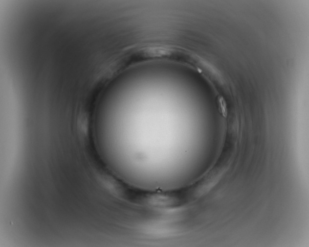 X0000114590315200910191602