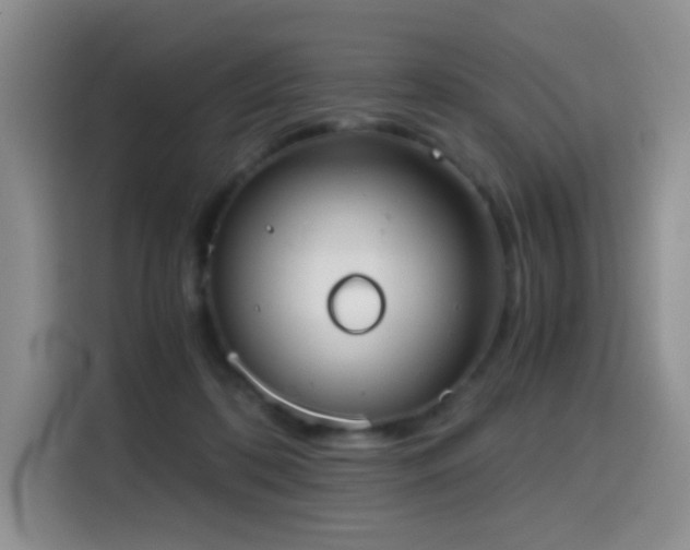 X0000114590316200910191602
