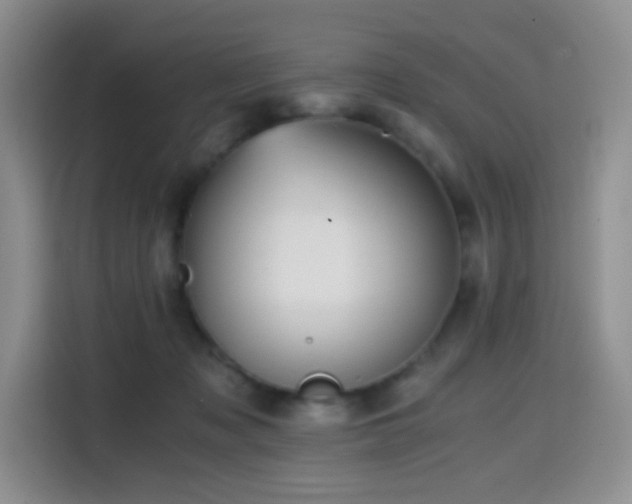 X0000114590317200910191602