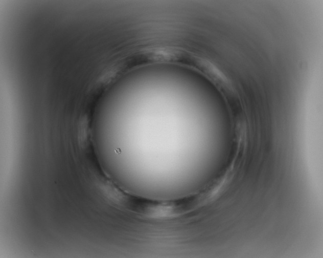 X0000114590318200910191602