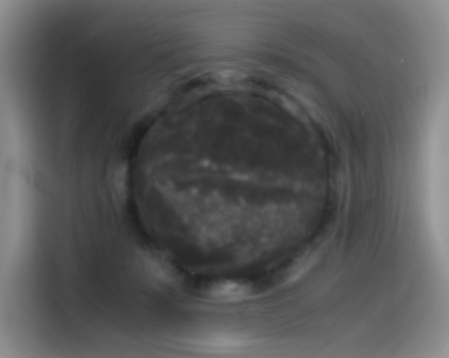X0000114590319200910191602