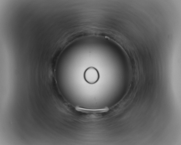 X0000114590320200910191602