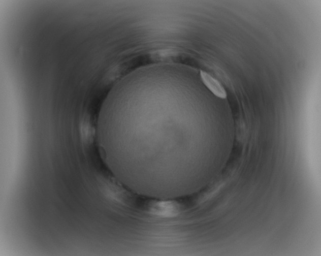 X0000114590324200910191602