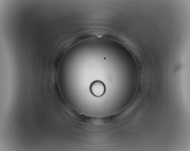X0000114590325200910191602