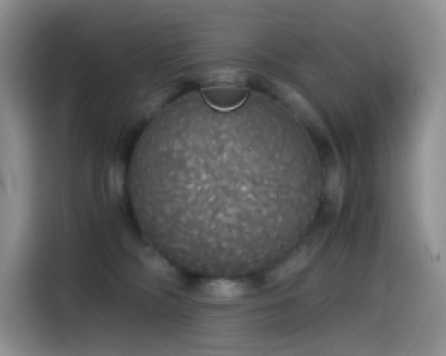 X0000114590326200910191602